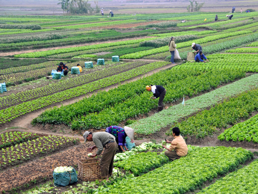Balwaan Krishi raises Rs 100 crore to expand farm machinery manufacturing, dealer network in India Balwaan Krishi raises Rs 100 crore to expand farm machinery manufacturing, dealer network in India